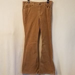 💢New York & Company corduroy pants
